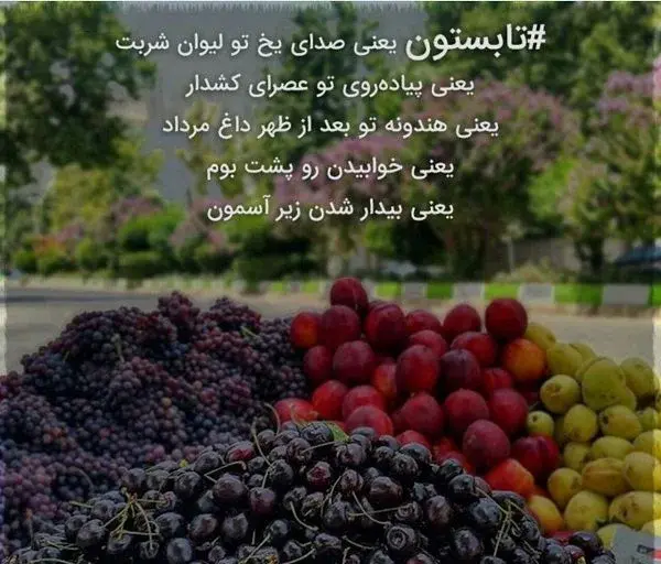 عکس میوه های تابستانی زیبا
