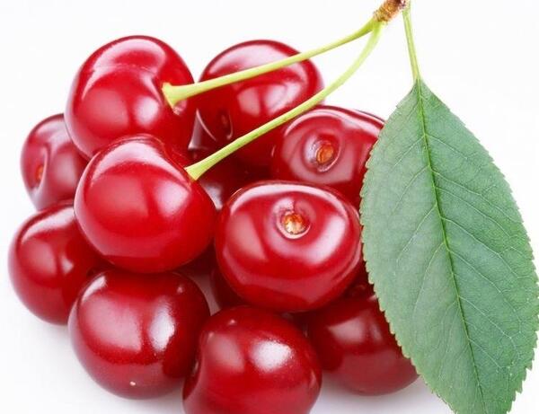 عکس میوه های تابستانی زیبا