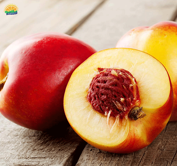 عکس میوه های تابستانی زیبا