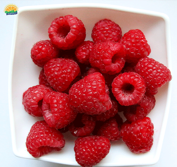 عکس میوه های تابستانی زیبا