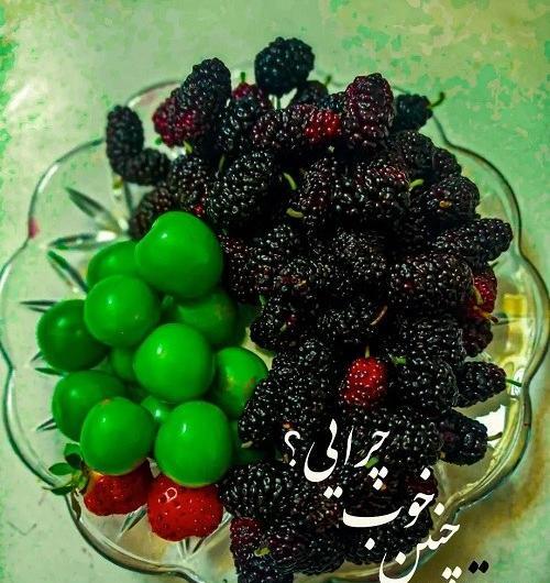 عکس میوه های تابستانی زیبا