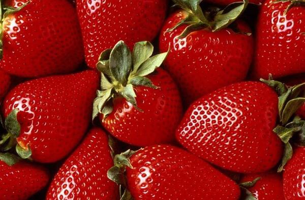 عکس میوه های تابستانی زیبا