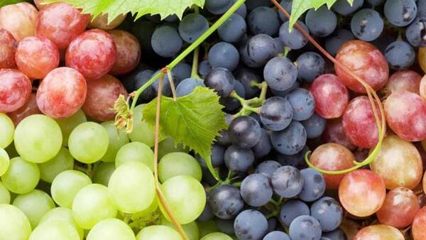 عکس میوه های تابستانی زیبا
