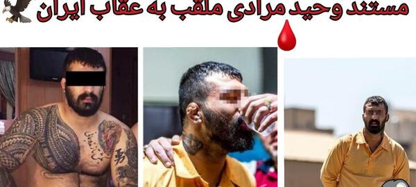 فیلم عکس وحید مرادی