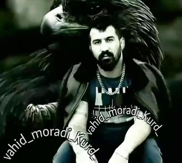عکس و فیلم وحید مرادی