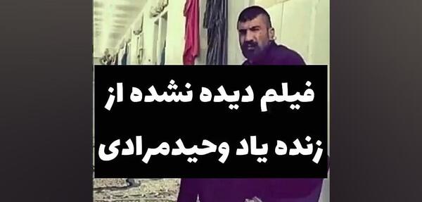 عکس و فیلم وحید مرادی
