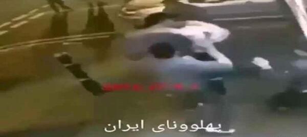 عکس سگ های وحید مرادی