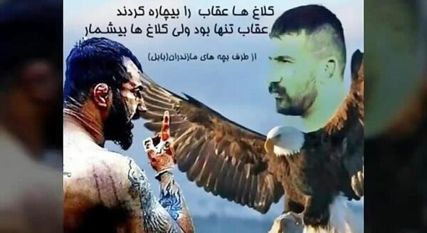 عکس سگ های وحید مرادی