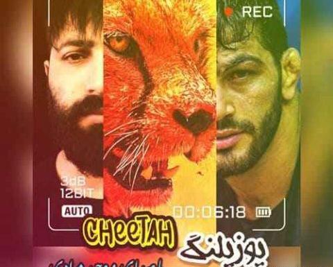 عکس سگ های وحید مرادی