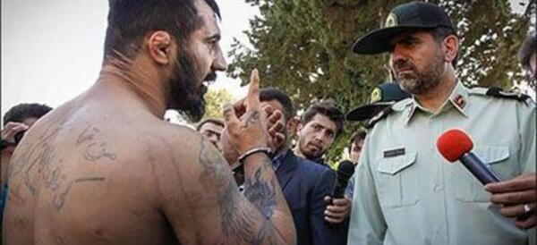 عکس سگ های وحید مرادی