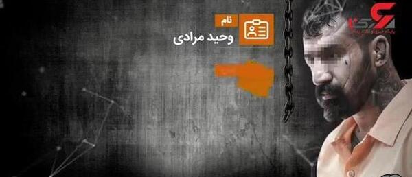 دانلود عکس زن وحید مرادی