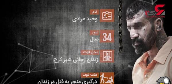 عکس های خفن وحید مرادی