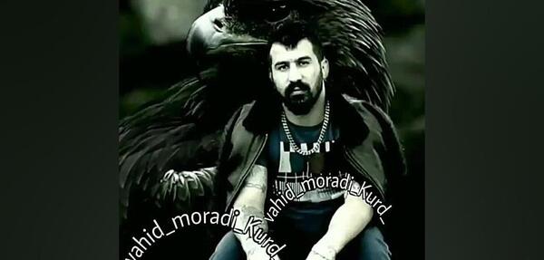 عکس های جدید پسر وحید مرادی