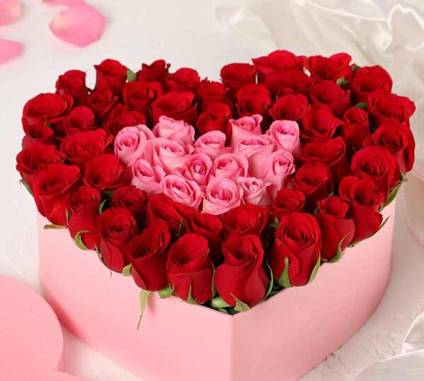 عکس گل واسه ولنتاین