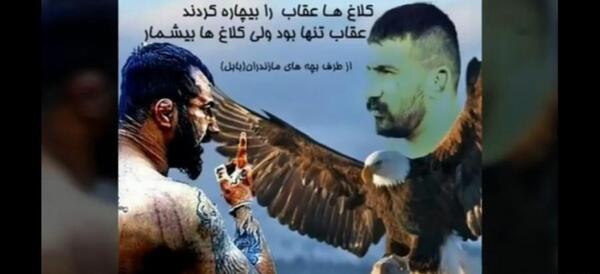 دانلود عکس وحید مرادی برای پروفایل