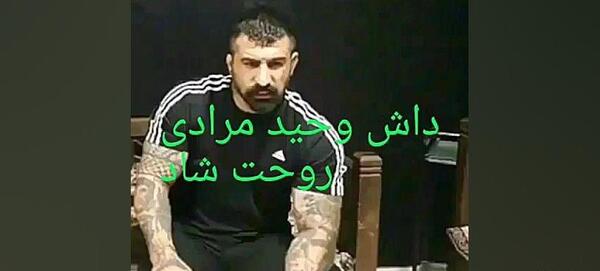دانلود عکس وحید مرادی برای پروفایل