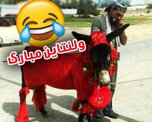 عکس خنده دار برای ولنتاین