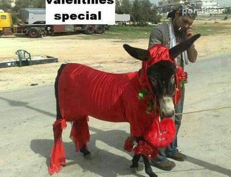 عکس خنده دار برای ولنتاین