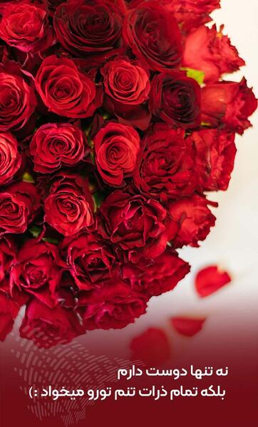عکس روز ولنتاین برای عشقم