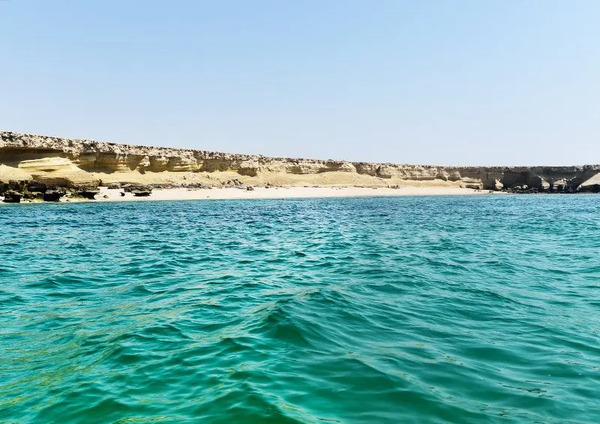 عکس پری دریایی وحشتناک و ترسناک