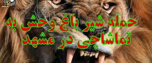 عکس وحشتناک ترین شیر جهان