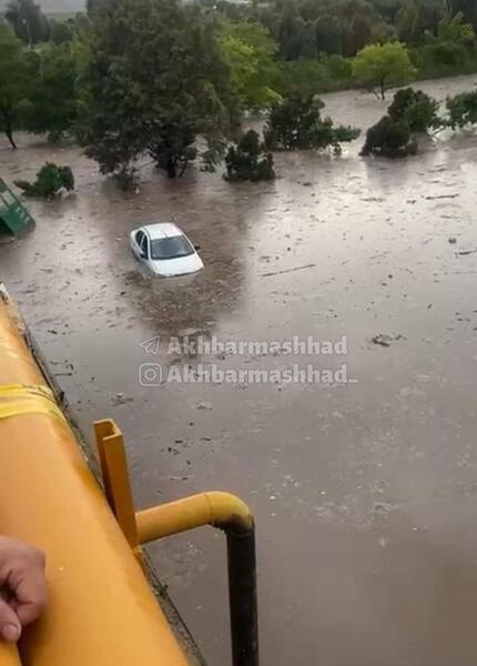 عکس سیل وحشتناک