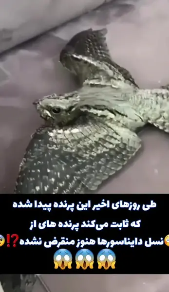 عکس های دایناسور وحشتناک
