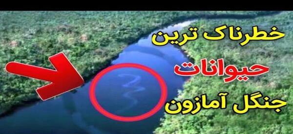 عکس وحشتناک ترین جنگل