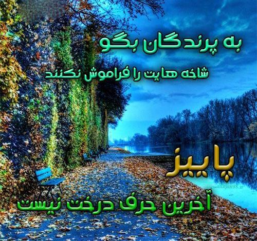 بهترین عکس برای پروفایل شاد