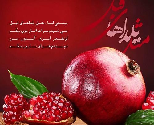 عکس های طنز شب یلدا