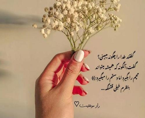 بهترین عکس دنیا برای پروفایل