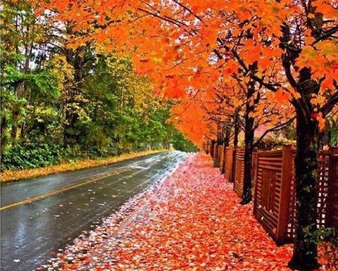 عکس پاییز یلدا