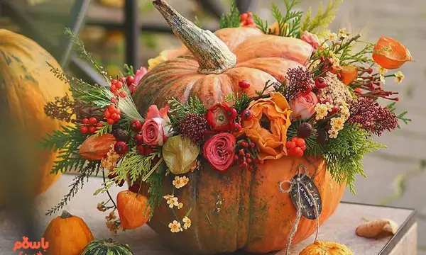 عکس کدو حلوایی برای شب یلدا