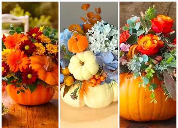 عکس کدو حلوایی برای شب یلدا