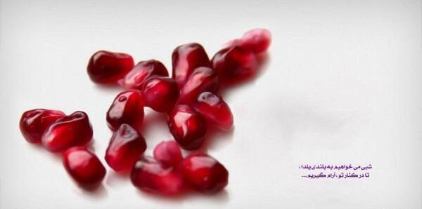 عکس برای شب یلدا بدون نوشته