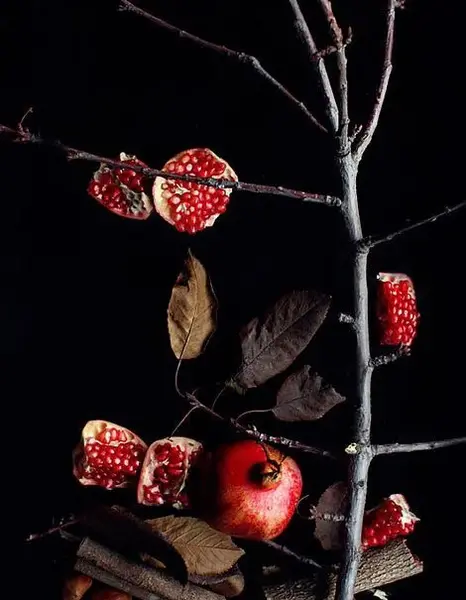 عکس برای شب یلدا بدون نوشته