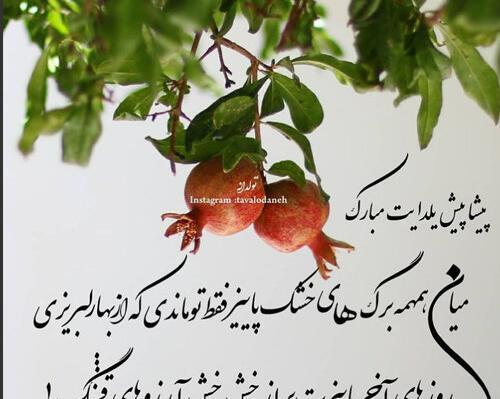 دانلود عکس پیشاپیش شب یلدا مبارک