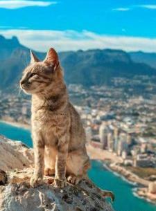 بهترین عکس جهان برای تصویر زمینه