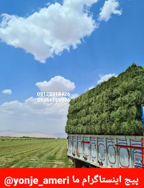 عکس کاه یونجه