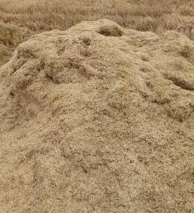 عکس کاه یونجه