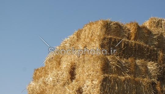 عکس کاه یونجه