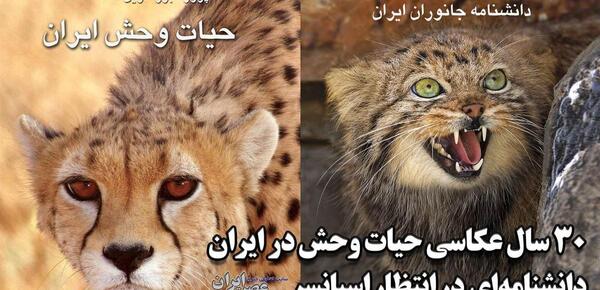 بهترین عکس حیات وحش سال