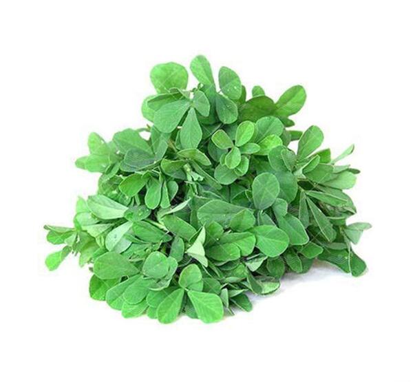 عکس تخم یونجه