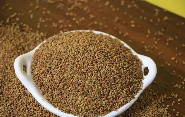 عکس تخم یونجه