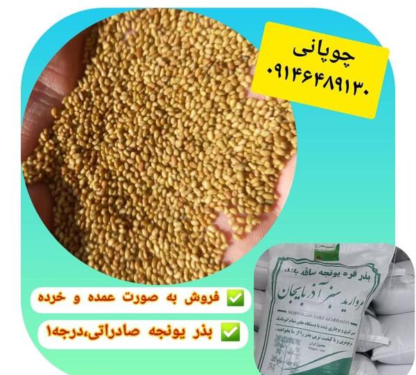 عکس تخم یونجه