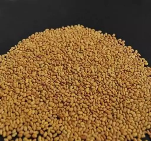 عکس تخم یونجه