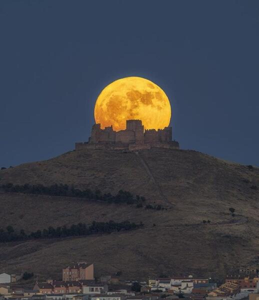 بهترین عکس سال ۲۰۲۴