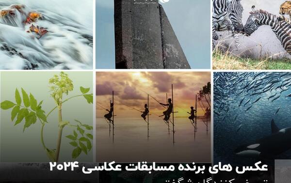 بهترین عکس سال ۲۰۲۴