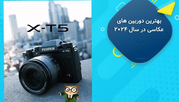 بهترین عکس سال ۲۰۲۴