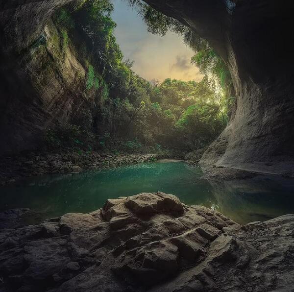 بهترین عکس سال ۲۰۲۲